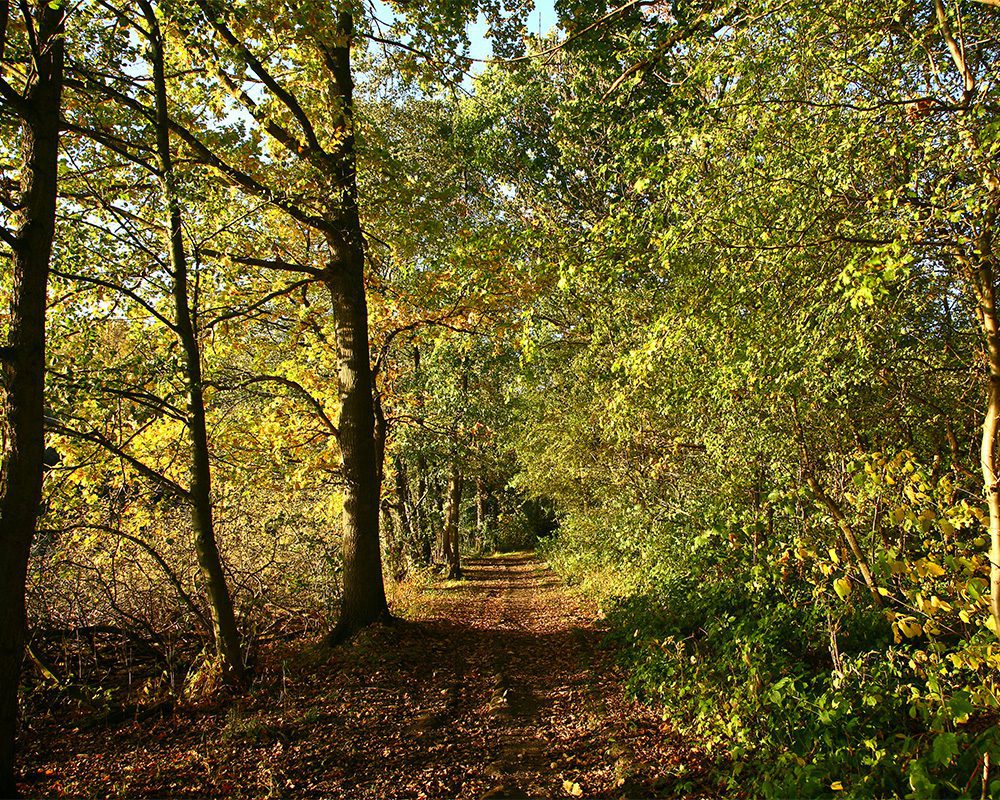 natura 2000